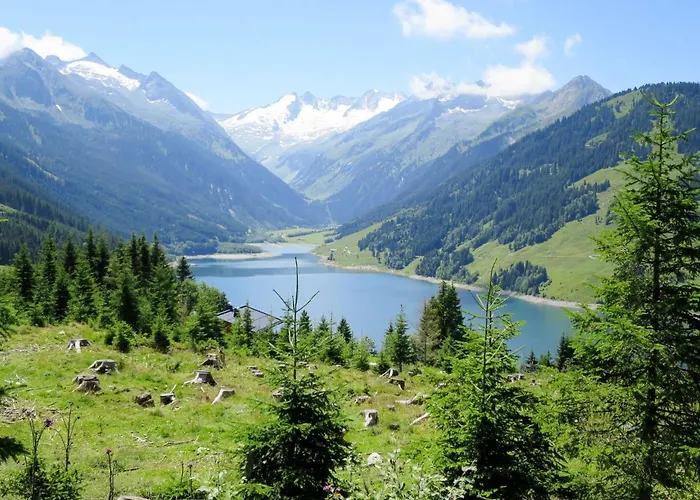 Anita-2 By Interhome * Zellberg